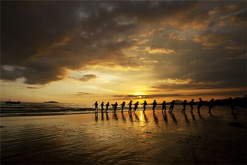 雾社茶町时尚清饮