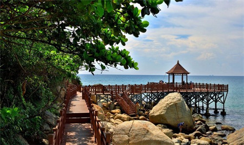 尤克里里品牌排名