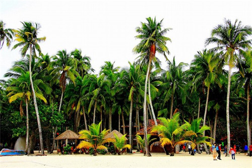 粉姑娘米粉加盟值得信赖吗