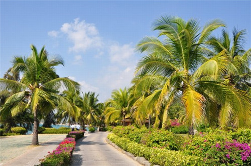 德钦县投射灯加盟创业选择哪些项目还能做