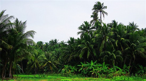 沙湾县品牌汽车加盟投资开店什么品牌好（沙湾4s店）