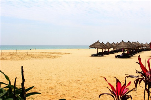 福建金砖是什么意思（福建金砖香烟au999.9）