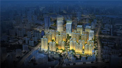 盲品英文（盲品是什么意思）