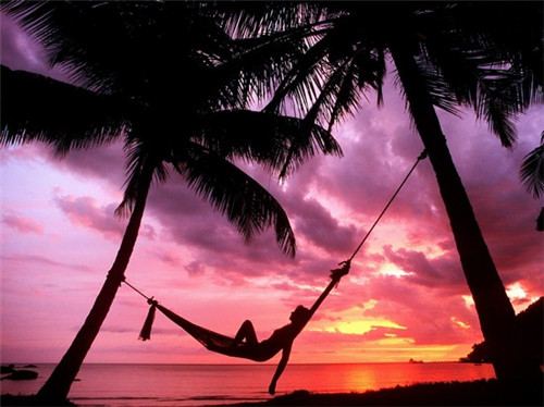 深夜吃炒菌子会胖吗（晚上吃炒蘑菇会发胖吗）