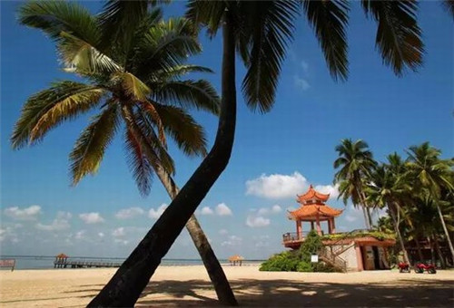 实木柜子如何装修好（实木柜子结构图）